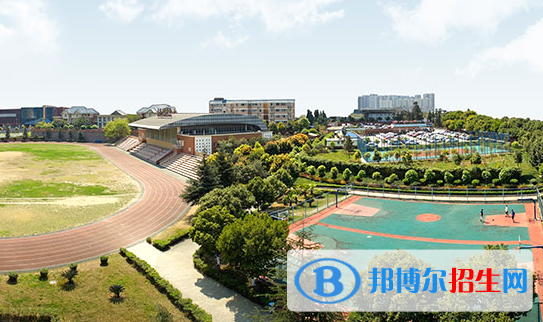 成都美視國(guó)際學(xué)校小學(xué)部網(wǎng)站網(wǎng)址