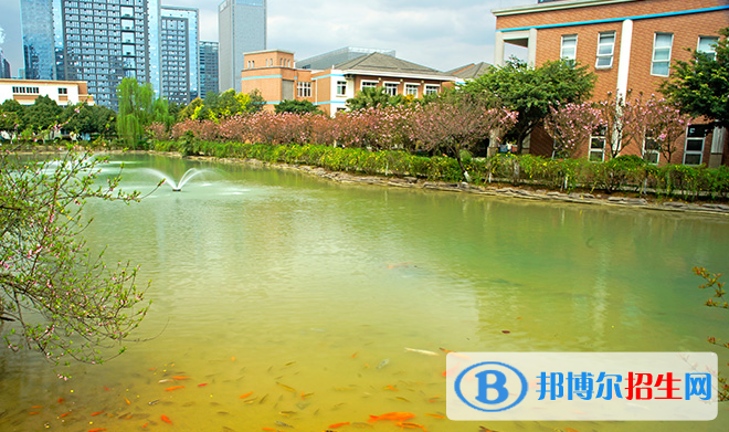 成都美視國(guó)際學(xué)校小學(xué)部怎么樣、好不好