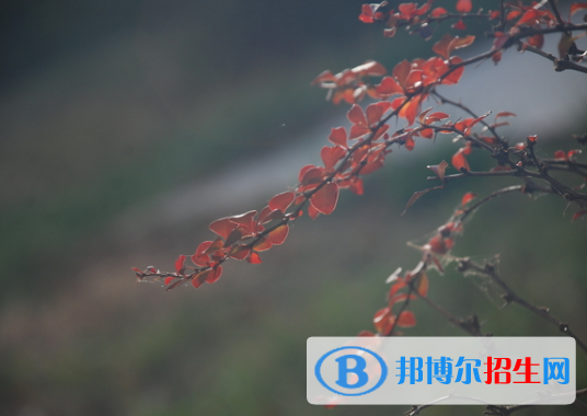  河北靈壽中學怎么樣、好不好