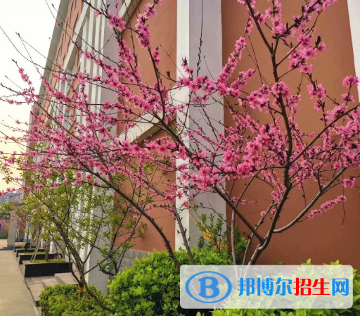 石家莊師大實驗中學2020年招生代碼