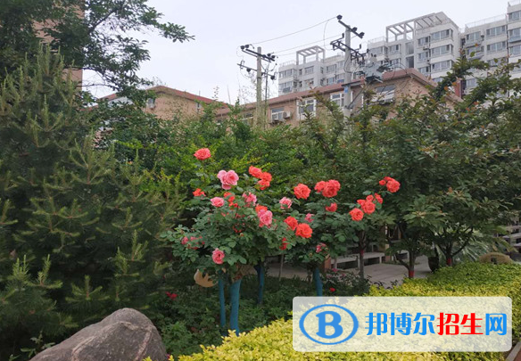 石家莊四十中學(xué)2020年報名條件、招生要求、招生對象
