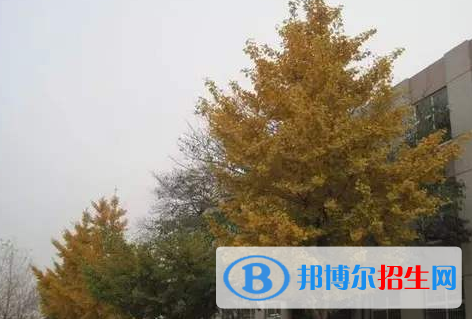  樂亭縣第二中學(xué)怎么樣、好不好