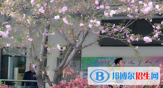 南京師范大學(xué)附屬揚子中學(xué)2021年學(xué)費、收費多少