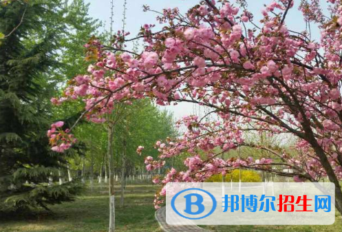 徐水綜合高中2021年招生計劃