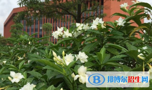 廣東工業(yè)高級(jí)技工學(xué)校2021年報(bào)名條件、招生要求、招生對(duì)象