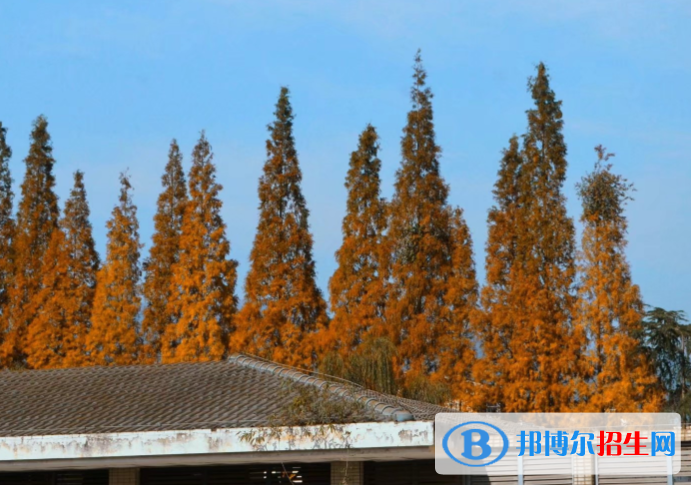 都江堰外國語實(shí)驗(yàn)中學(xué)網(wǎng)站網(wǎng)址 