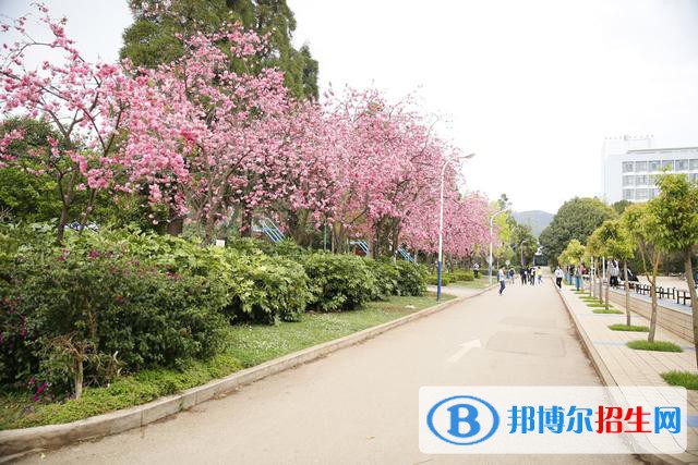 云南聯(lián)合經(jīng)濟學(xué)校2021年學(xué)費，收費多少