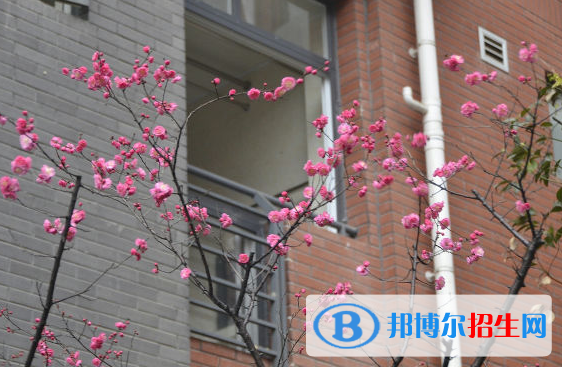 成都七中萬達學校
