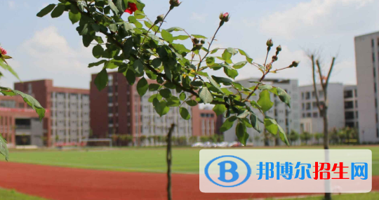 金堂縣職業(yè)高級中學(xué)怎么樣、好不好