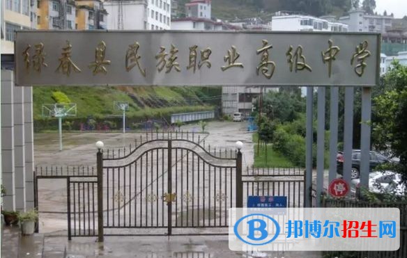 綠春縣民族職業(yè)高級中學(xué)2021年錄取分?jǐn)?shù)線