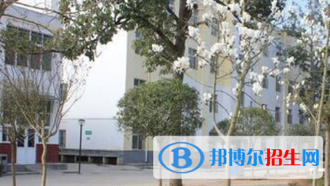劍閣縣武連職業(yè)中學怎么樣、好不好