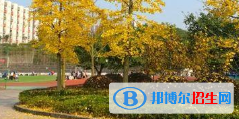 四川育英醫(yī)養(yǎng)科技技工學(xué)校怎么樣、好不好