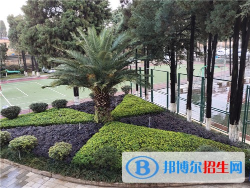 昆明市金殿中學2021年招生錄取分數(shù)線
