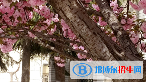 石家莊2021年有什么中專學(xué)校就業(yè)比較好