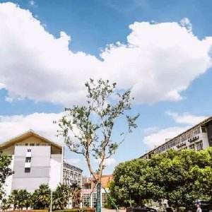 江蘇2022年中專鐵路學(xué)校可以考大專嗎