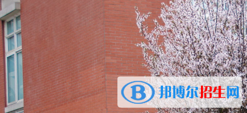 成都2022年有哪些有計算機學校的大專院校