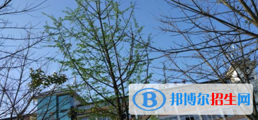 四川現(xiàn)代藝術(shù)學(xué)校2022年報名條件、招生要求、招生對象