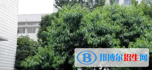 成都2022年哪所計算機學(xué)校比較好就業(yè)