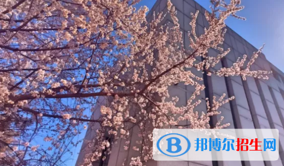 貴陽(yáng)2022年中專(zhuān)要讀幾年