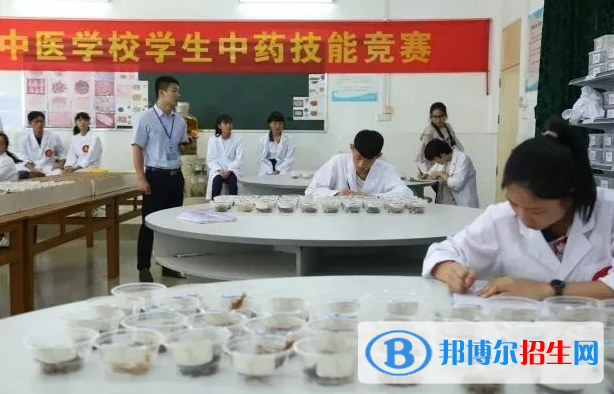 湛江中醫(yī)學校網(wǎng)站網(wǎng)址