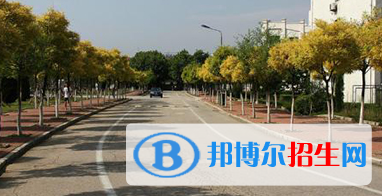 重慶2022年讀電子商務專業(yè)好嗎