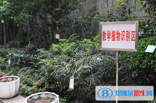 重慶園林技工學校怎么樣、好不好
