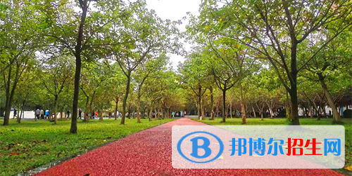 四川國(guó)盛技工學(xué)校2022年報(bào)名條件、招生要求、招生對(duì)象