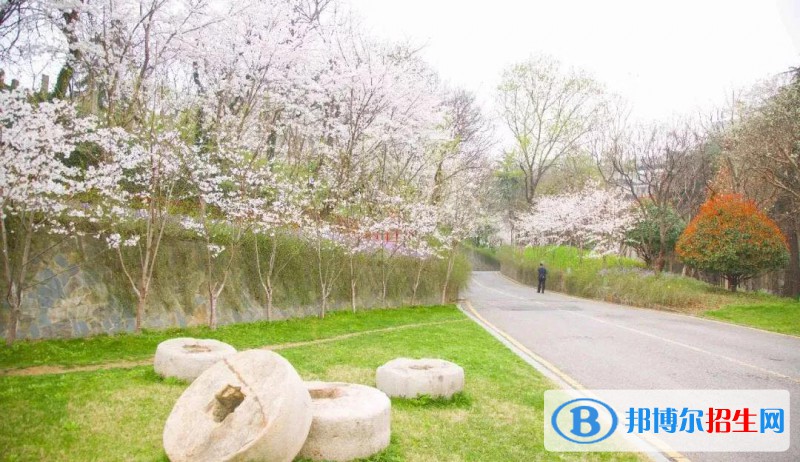 南京藝術(shù)學(xué)院附屬中等藝術(shù)學(xué)校2022年報(bào)名條件、招生要求、招生對(duì)象
