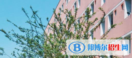 綏江縣職業(yè)高級中學2022年有哪些專業(yè)