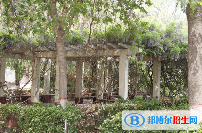 滄州市職業(yè)技術(shù)教育中心2022年報名條件、招生要求、招生對象