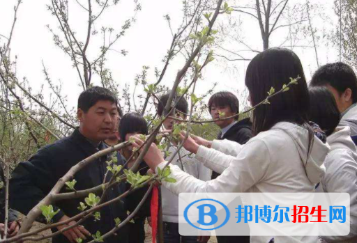 永清職教中心2022年招生錄取分數(shù)線