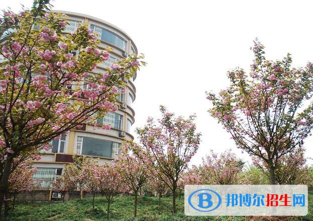 重慶交通職業(yè)學(xué)院怎么樣、好不好