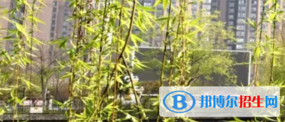 成都2022年有哪些公辦汽修學(xué)校