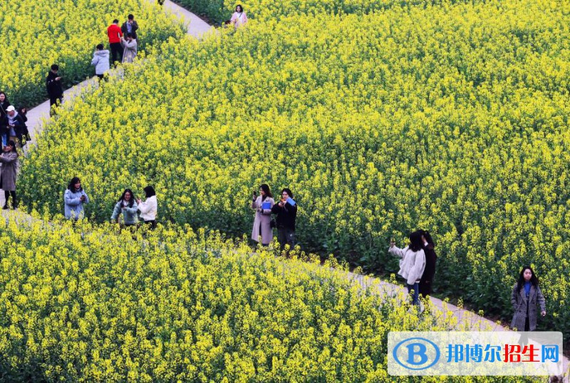 重慶商務(wù)職業(yè)學(xué)院2022年報名條件、招生要求、招生對象