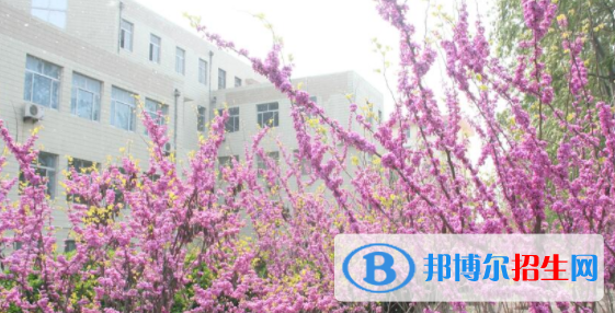 山東省濟南商貿(mào)學校怎么樣、好不好