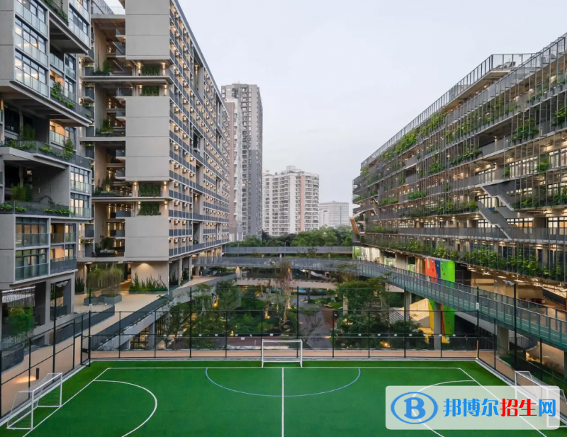 深圳國(guó)際交流學(xué)院怎么樣