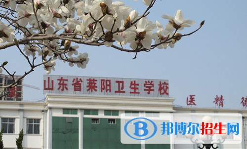 萊陽(yáng)市衛(wèi)生學(xué)校2022年怎么樣、好不好