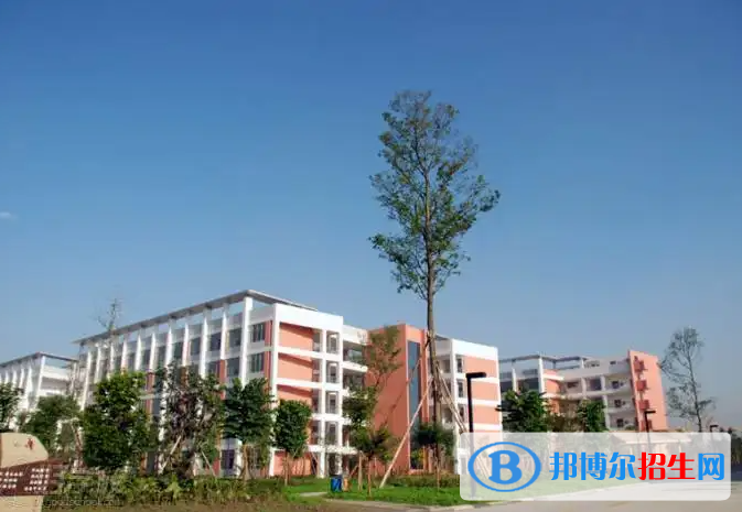 樹德中學(xué)國際部2022年招生政策