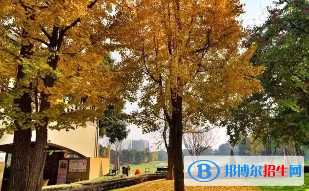 成都麓山國際光亞學(xué)校高中部2022年學(xué)費(fèi)標(biāo)準(zhǔn)