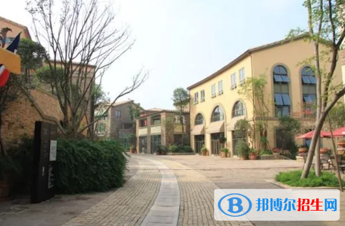 成都麓山國(guó)際光亞學(xué)校高中部2022年課程體系