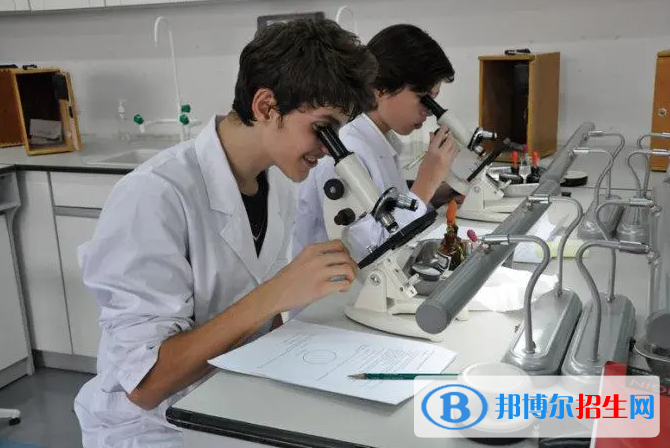 北京加拿大國際學(xué)校2023年學(xué)費(fèi)標(biāo)準(zhǔn)