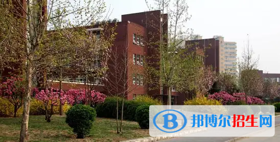 北京新橋外國語高中學(xué)校國際部靠譜嗎