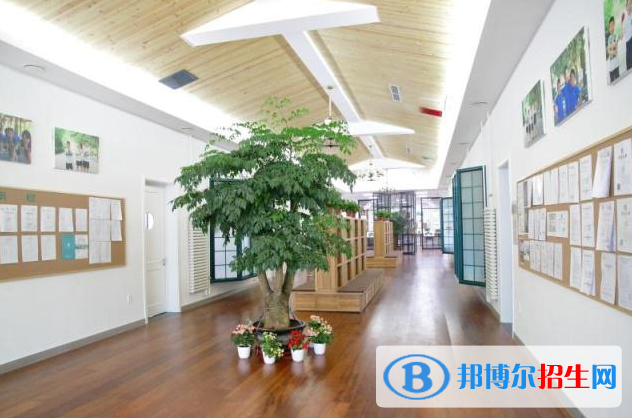 北京私立樹(shù)人瑞貝學(xué)校小學(xué)部2023年入學(xué)條件