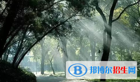 北京市通州區(qū)潞河中學(xué)2023年學(xué)費(fèi)、收費(fèi)多少
