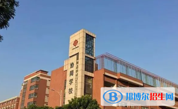 佛山協(xié)同國際學校2023年招生政策2