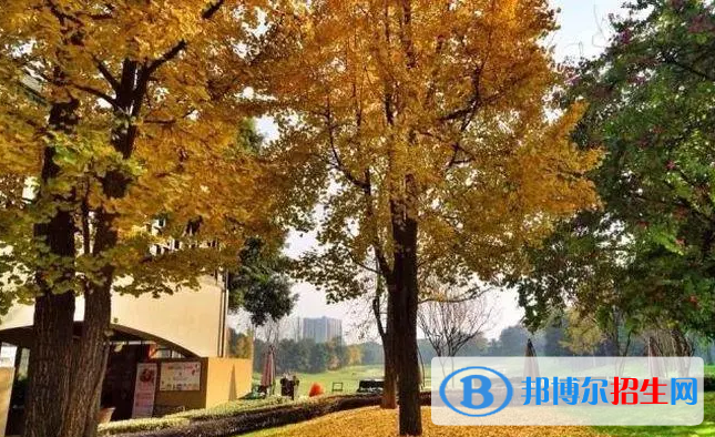 成都麓山國際光亞學校小學部2023年入學考試2
