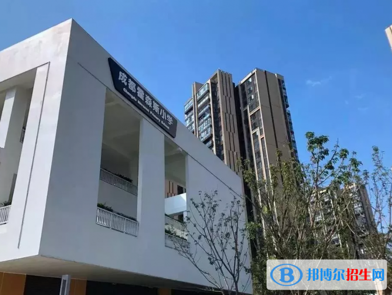成都霍森斯小學(xué)2023年課程體系