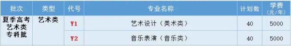 棗莊科技職業(yè)學(xué)院藝術(shù)類(lèi)專(zhuān)業(yè)有哪些？（藝術(shù)類(lèi)專(zhuān)業(yè)）