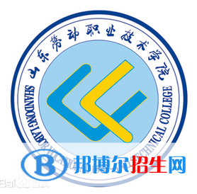 山東勞動(dòng)職業(yè)技術(shù)學(xué)院藝術(shù)類專業(yè)有哪些？（藝術(shù)類專業(yè)）