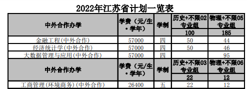 南京財(cái)經(jīng)大學(xué)中外合作辦學(xué)專業(yè)有哪些？